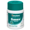 Gasex 100 tab